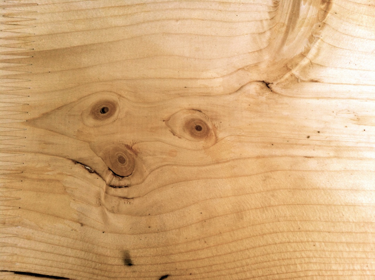 Die Gesichter der Bäume