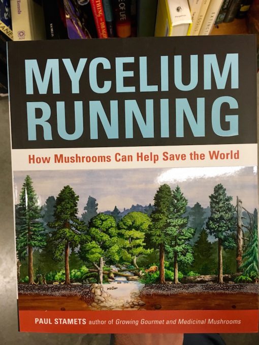 Baumhausblog – Mycelium Running