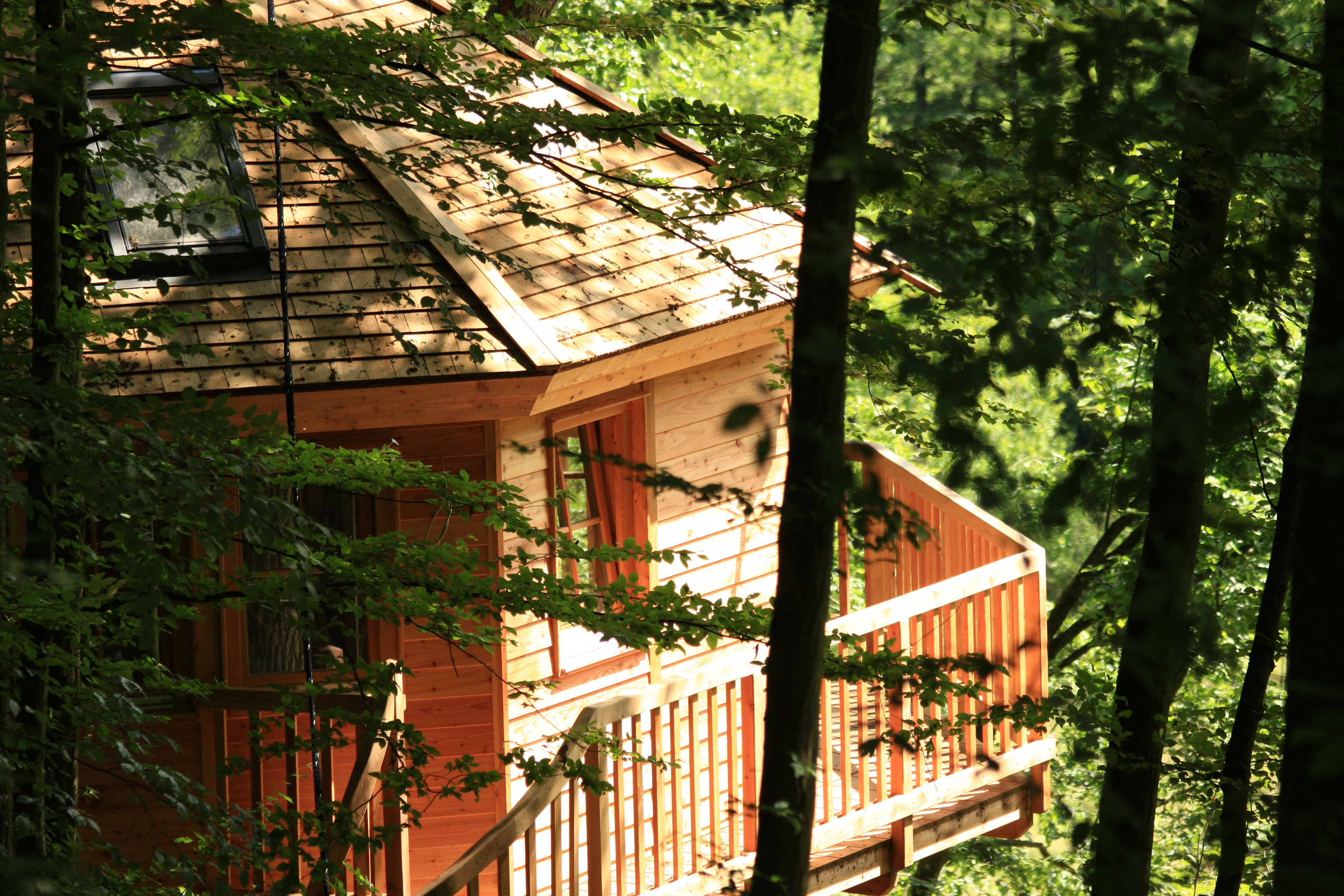 Das „Baumhaushotel Seemühle“ in Gräfendorf