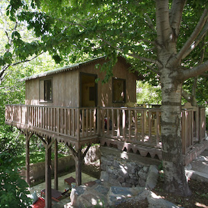 11-Tree-House