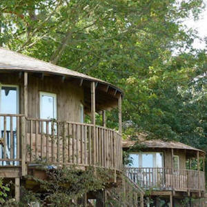 16 Eco-Lodge Tree Houses - View from Paddock
