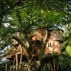new treehouse 20141