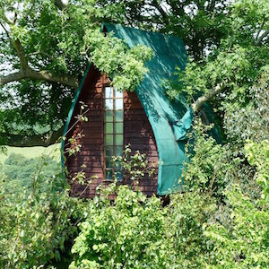 treehouse-outside1-960x500@2x