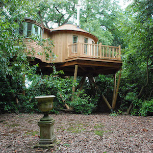 treehouse_fromfront