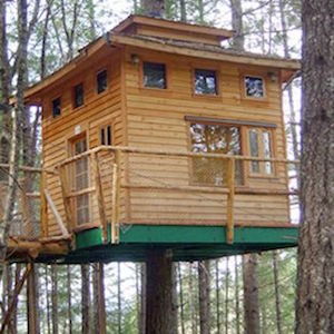 Vertical-horizons-treehouse-paradise