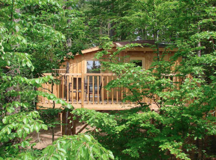 Jetzt Baumhaushotels buchen über Airbnb!